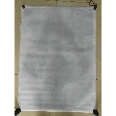 意大利护照扫描件哪里有卖